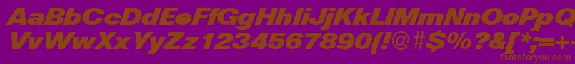 HelbadiagdbNormal Font – Brown Fonts on Purple Background