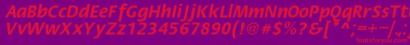 Fiesta Font – Red Fonts on Purple Background