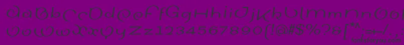 SinahsansLtItalic Font – Black Fonts on Purple Background