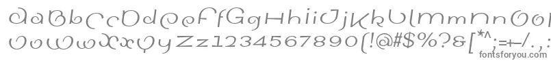 フォントSinahsansLtItalic – 白い背景に灰色の文字