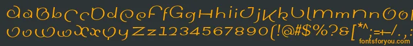 フォントSinahsansLtItalic – 黒い背景にオレンジの文字