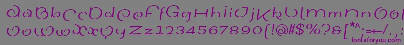 SinahsansLtItalic-Schriftart – Violette Schriften auf grauem Hintergrund