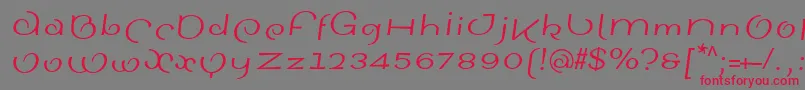 SinahsansLtItalic-Schriftart – Rote Schriften auf grauem Hintergrund