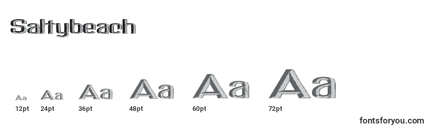 Saltybeach Font Sizes