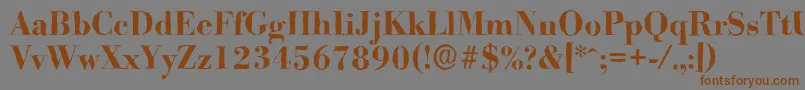 Шрифт BodoniantiqueBold – коричневые шрифты на сером фоне