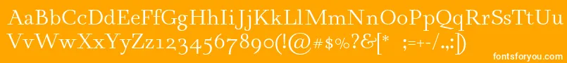 Renzo Font – White Fonts on Orange Background