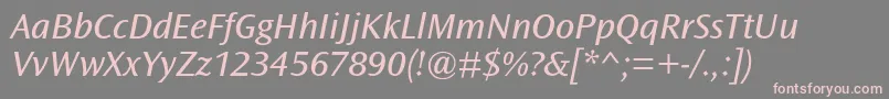 OceansansstdBooksemiextita Font – Pink Fonts on Gray Background