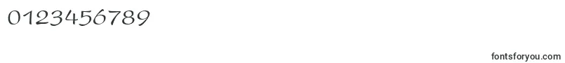 P820ScriptRegular-Schriftart – Schriften für Zahlen und Nummern