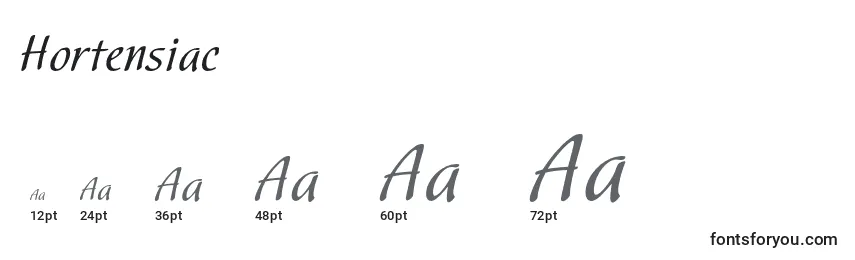 Размеры шрифта Hortensiac