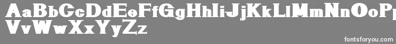 Geometricserif Font – White Fonts on Gray Background