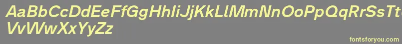 Analogue66mediumoblique Font – Yellow Fonts on Gray Background