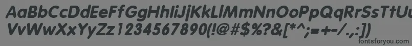 VagabondBoldItalic Font – Black Fonts on Gray Background