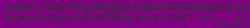 PetersburgettBolditalic Font – Black Fonts on Purple Background