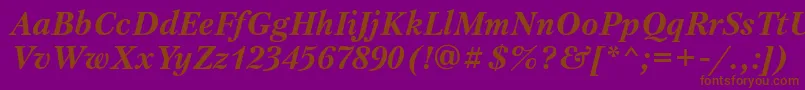 PetersburgettBolditalic-Schriftart – Braune Schriften auf violettem Hintergrund