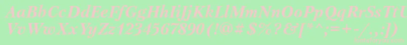 PetersburgettBolditalic Font – Pink Fonts on Green Background