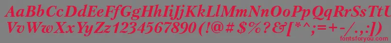 PetersburgettBolditalic Font – Red Fonts on Gray Background
