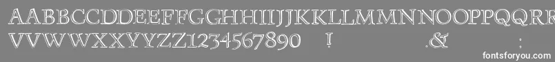 Monumenta Font – White Fonts on Gray Background