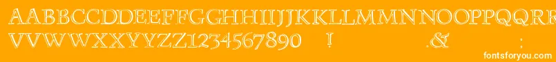 Monumenta Font – White Fonts on Orange Background