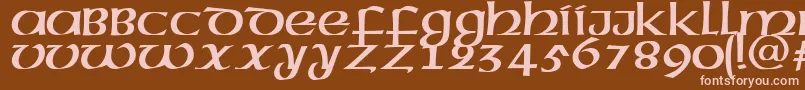 MegenPlain Font – Pink Fonts on Brown Background