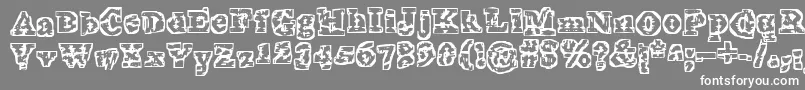 Шрифт TheInterzone – белые шрифты на сером фоне