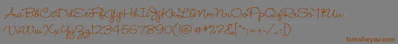 Wendymed Font – Brown Fonts on Gray Background