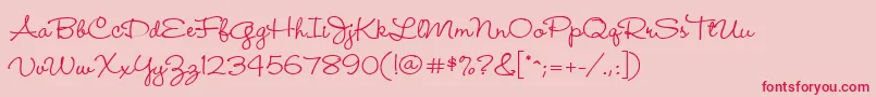 Wendymed Font – Red Fonts on Pink Background