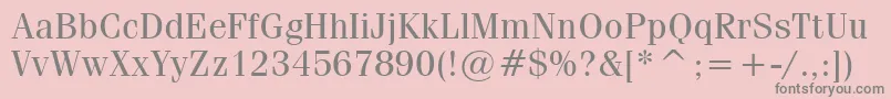 CompendiumBookSsiBook-Schriftart – Graue Schriften auf rosa Hintergrund
