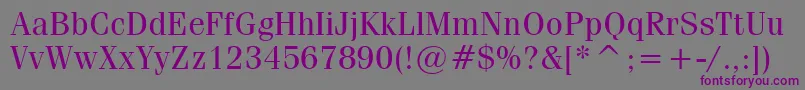 CompendiumBookSsiBook Font – Purple Fonts on Gray Background