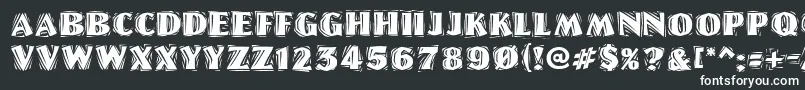 LinolschriftHeavy Font – White Fonts on Black Background