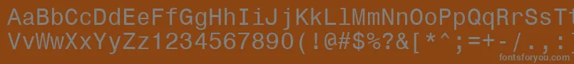 フォントMonospace821Bt – 茶色の背景に灰色の文字