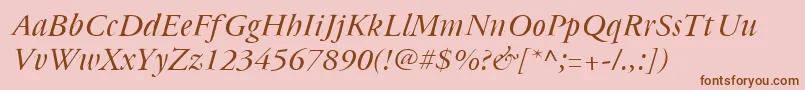Cyrillicgaramond Italic Font – Brown Fonts on Pink Background