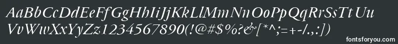 Cyrillicgaramond Italic Font – White Fonts