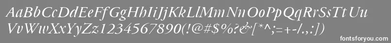 Cyrillicgaramond Italic Font – White Fonts on Gray Background