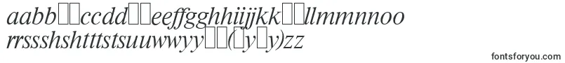 フォントRiccioneserialXlightItalic – ハウスフォント