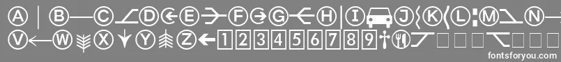 フォントFormatPiTwoSsi – 灰色の背景に白い文字