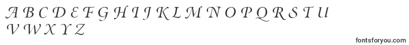 MinionSwashDisplayItalic Font – Fonts for Autocad