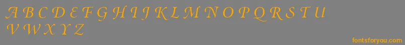 MinionSwashDisplayItalic Font – Orange Fonts on Gray Background