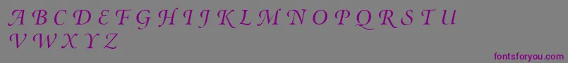 MinionSwashDisplayItalic Font – Purple Fonts on Gray Background