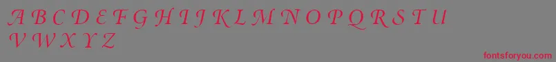 MinionSwashDisplayItalic Font – Red Fonts on Gray Background