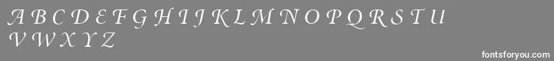 MinionSwashDisplayItalic Font – White Fonts on Gray Background