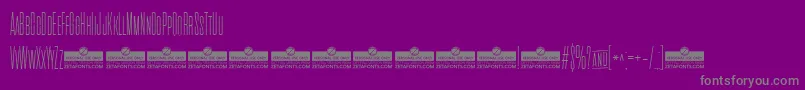 CinematograficaThinTrial Font – Gray Fonts on Purple Background