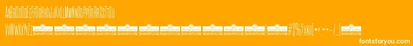 CinematograficaThinTrial Font – White Fonts on Orange Background