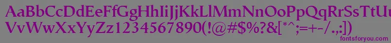 SemperBold-fontti – violetit fontit harmaalla taustalla