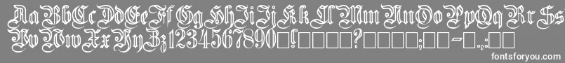 フォントFluted – 灰色の背景に白い文字