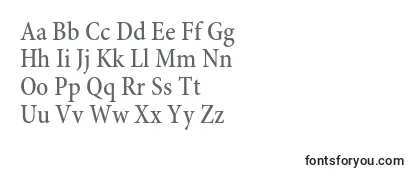 MinionproMediumcn Font