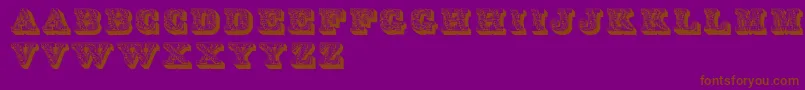 Lettres Font – Brown Fonts on Purple Background