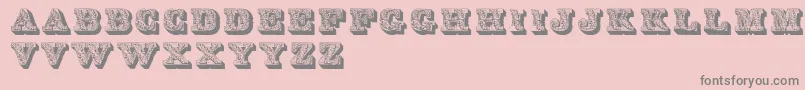 Lettres Font – Gray Fonts on Pink Background