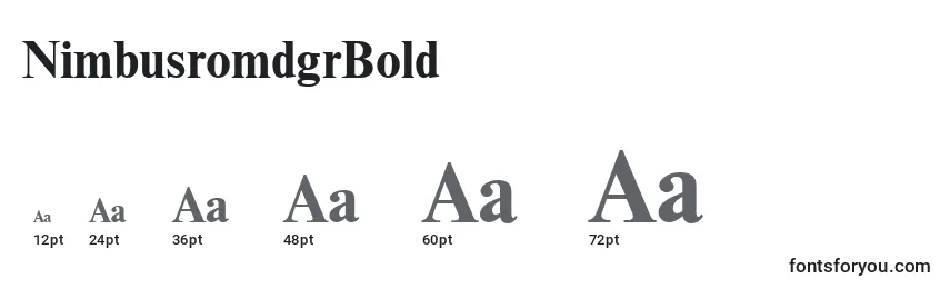 NimbusromdgrBold Font Sizes