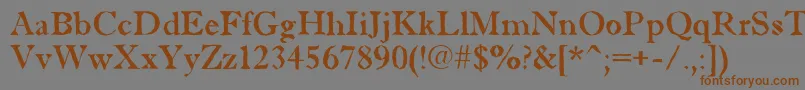 AAntiquetradybrk Font – Brown Fonts on Gray Background