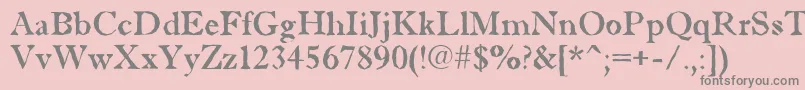 AAntiquetradybrk Font – Gray Fonts on Pink Background